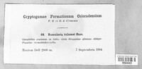 Image Associated With the Occurence